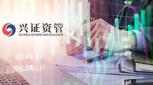 興證資管首只公募化產(chǎn)品起航 自有資金跟投與全員參與下的投資風格解析