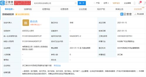社會經濟咨詢服務 驅動發展與決策的智慧引擎